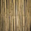 Clôture Bambou