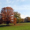 automne-choix-cloture