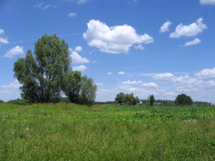été installer votre cloture