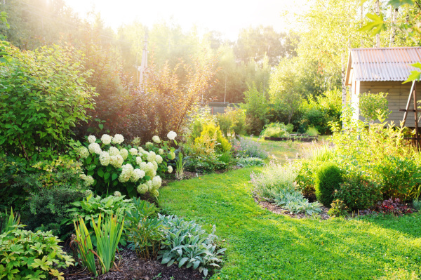 Comment embellir son jardin comme un professionnel ?